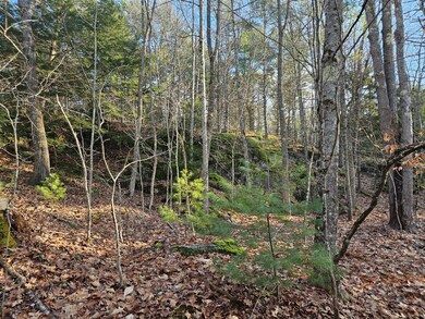 10-29.1 River Rd, Dresden, ME 04342 - photo 5