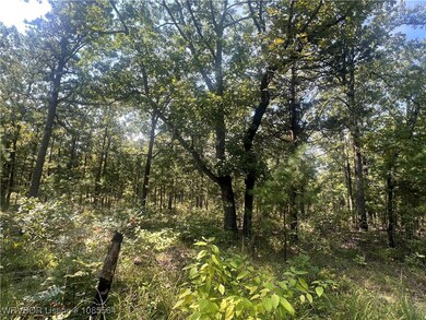 Tract 8 River Rd, Whitesboro, OK 74577 - photo 3