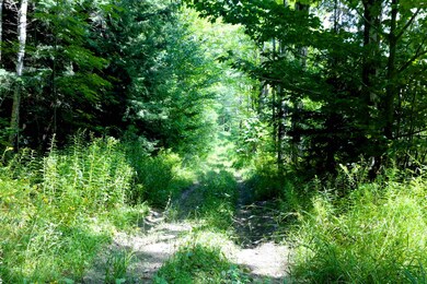 0 Turkey Hill Rd unit 4808331, Newport, NH 03773 - photo 6