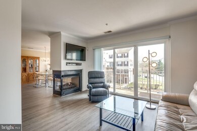 2494 Quick St unit 301, Herndon, VA 20171 - photo 5