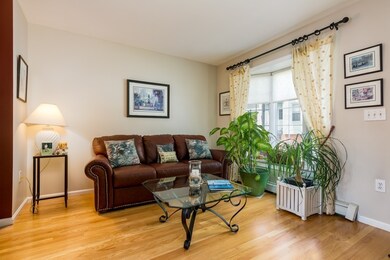 19 Dixfield St, Boston, MA 02127 - photo 7