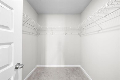 Walk in closet with carpet floors