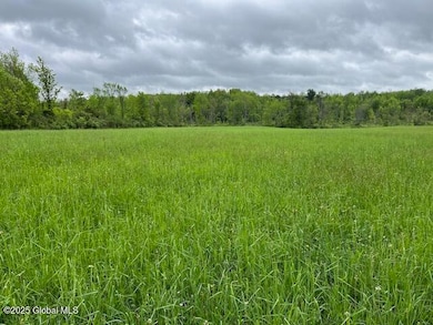 L1.12 Carlisle Rd, Canajoharie, NY 13317 - photo 3