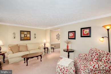 5 Topwood Ct, Parkville, MD 21234 - photo 3