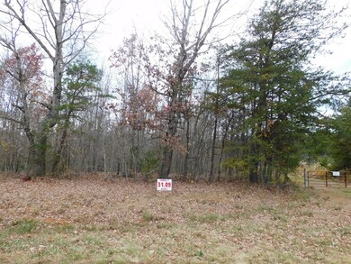 31.09 Ac Brights Rd, Gretna, VA 24557 - photo 6