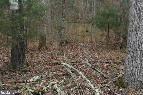 0 Panhandle Rd unit VAWR140468, Front Royal, VA 22630 - photo 2