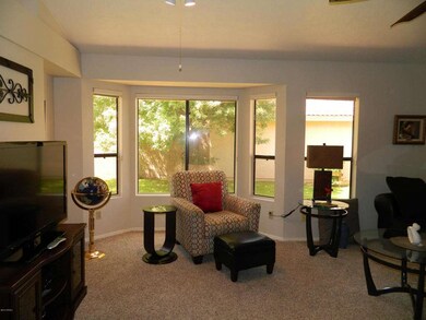 Lots Of Natural Light