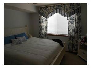 13736 Paseo de Fe Cir, El Paso, TX 79928 - photo 5