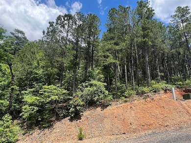 View of woods