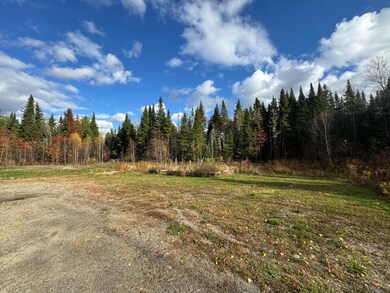 76 Otter Trail, Greenbush, ME 04418 - photo 4