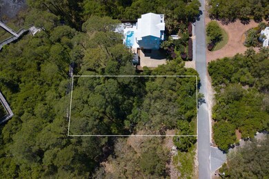 Lot 9 Loon Lake Dr, Santa Rosa Beach, FL 32459 - photo 4