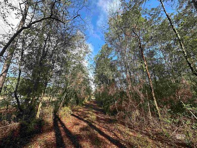 0 Patterson Rd unit 388847, Robertsdale, AL 36567 - photo 7