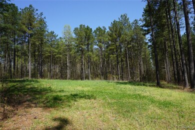 3729 Archies Way, Powhatan, VA 23139 - photo 4