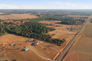 733 Pitts Rd, Hawkinsville, GA 31036 - photo 5