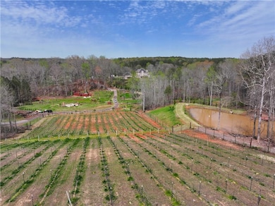 Bird's eye view featuring a rural view and a fores