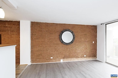1800 Jefferson Park Ave unit 302, Charlottesville, VA 22903 - photo 5