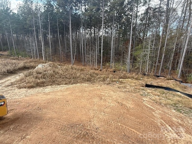 1590 Autumn Ln unit 116, York, SC 29745 - photo 5