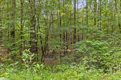 Tract 3 Conniston Rd, Chatsworth, GA 30705 - photo 7