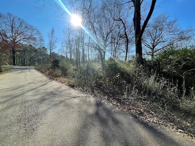 View of road