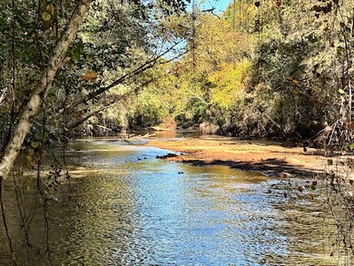 3355 Georgia 42, Forsyth, GA 31029 - photo 3