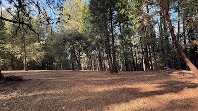 19045 Pine Dr, Pioneer, CA 95666 - photo 5