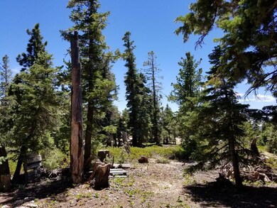 320 S Lichen Ln unit ZVME D-125, Duck Creek Village, UT 84762 - photo 6