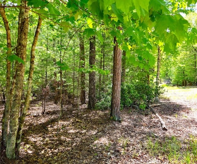 5.23acs Burgess Gap Rd, Morganton, GA 30560 - photo 7