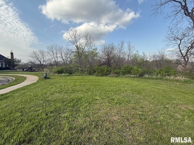 11428 N Boulder Creek Ct, Dunlap, IL 61525 - photo 3