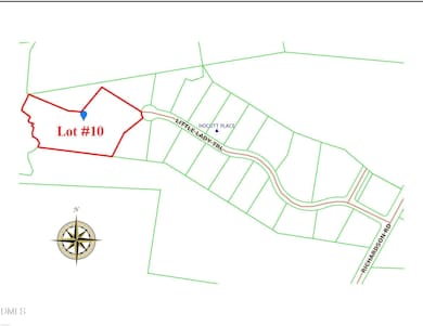 335 Little Lady Trail, Zebulon, NC 27597 - photo 3