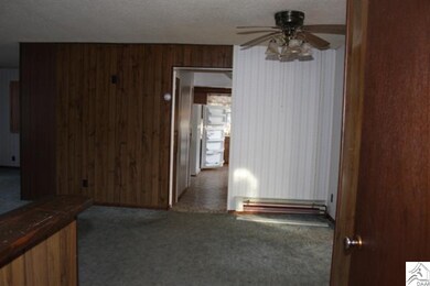 217 Eveleth Ln, Proctor, MN 55810 - photo 5