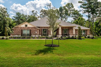 30810 Spring Lake Blvd, Tomball, TX 77375 - photo 4