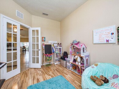 30116 Tokara Terrace, Mount Dora, FL 32757 - photo 5