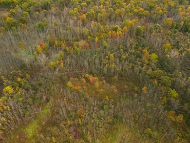 8188 Route 104a, Wolcott, NY 14590 - photo 7