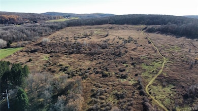 0 Starr Rd unit S1525788, Cortland, NY 13045 - photo 4