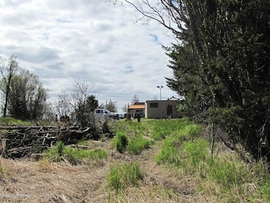 3668 Ben Walters Ln, Homer, AK 99603 - photo 6