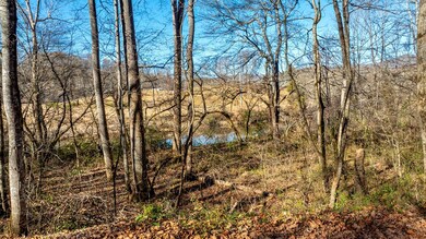 300 River Mist Ln, Franklin, NC 28734 - photo 7