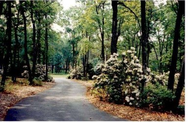 11 Slab Branch Ct, Marlton, NJ 08053 - photo 2