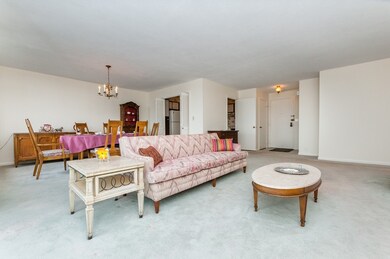 Imperial Towers unit 813, Chestnut Hill, MA 02467 - photo 5