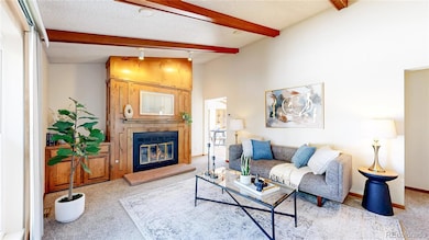 214 Poppy St, Golden, CO 80401 - photo 7