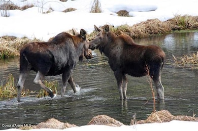 101 Pines Rd, Newport, WA 99156 - photo 6