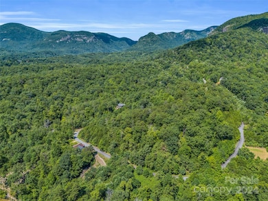 0 Holmstead Dr unit Lot 31 CAR4203501, Lake Lure, NC 28746 - photo 7