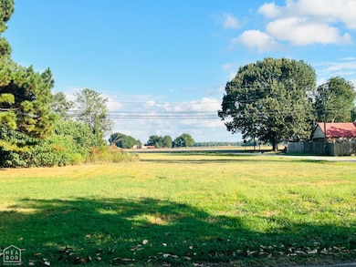 300 McDonial, Tuckerman, AR 72473 - photo 5