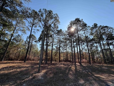 1031 Oakland Dr, Camden, SC 29020 - photo 3