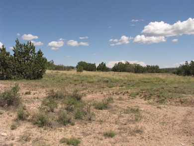 206b Bixler Trail, Ash Fork, AZ 86320 - photo 4