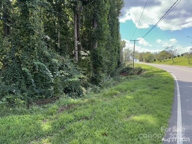 V/L Praley St SW, Valdese, NC 28690 - photo 2