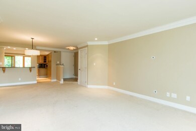 7022 Channel Village Ct unit 101, Annapolis, MD 21403 - photo 7