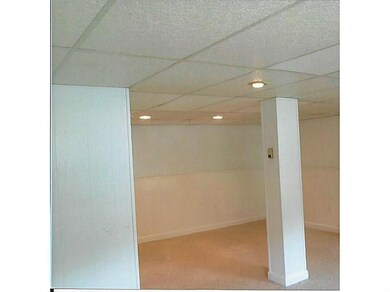 Cellar or Basement.