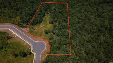 Lot 85 Summit View Ln, Maumelle, AR 72113 - photo 3