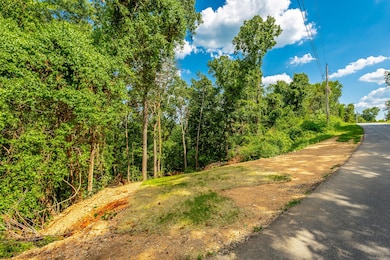 0 Clearview Dr unit RTC2683557, Ringgold, GA 30736 - photo 7