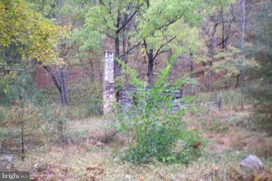 0 Dickenson Mountain Rd unit 220/7 WVPT100100, Franklin, WV 26807 - photo 4